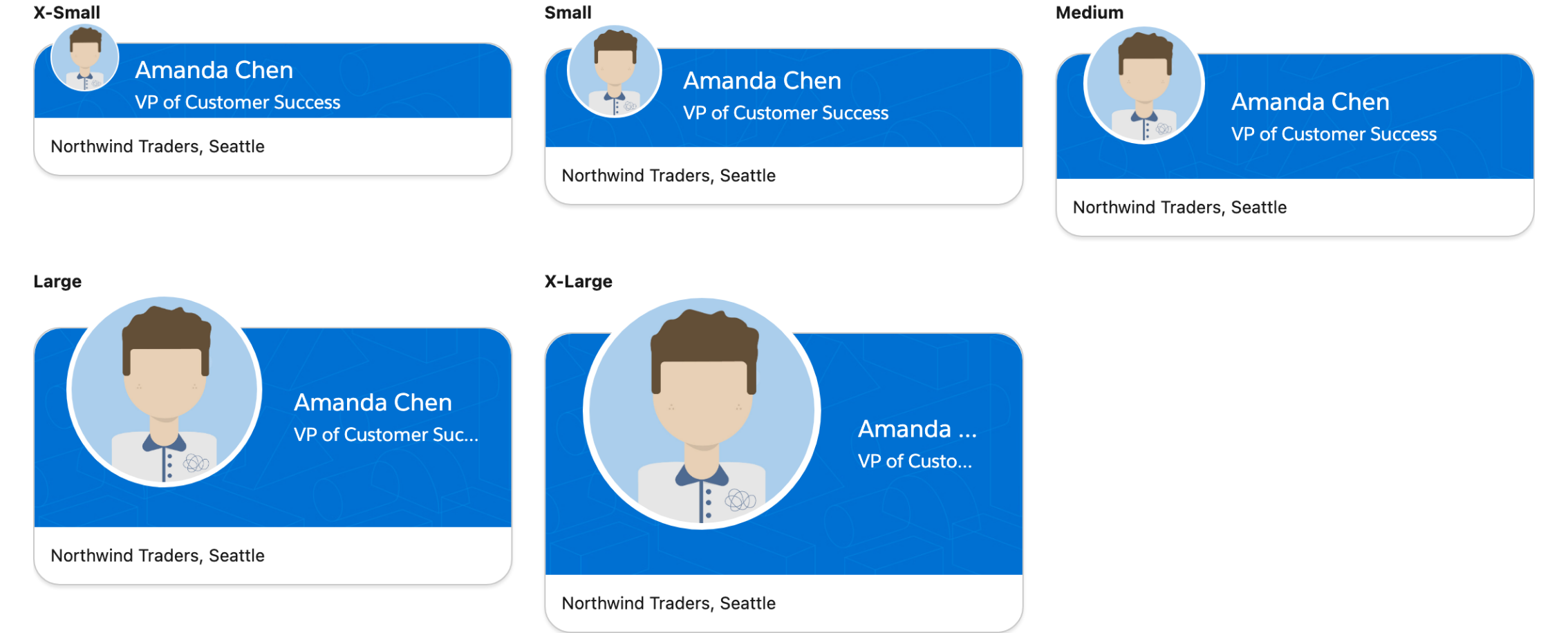 Five profile cards showing the avatar at x-small, small, medium, large and x-large
