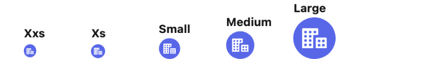 The five icon sizes side by side, each labelled with the button label shown in the panel